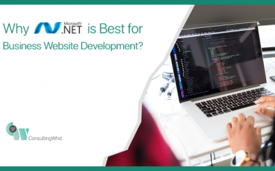 Why is Dot NET the Most Usable Framework for Custom Software Development?